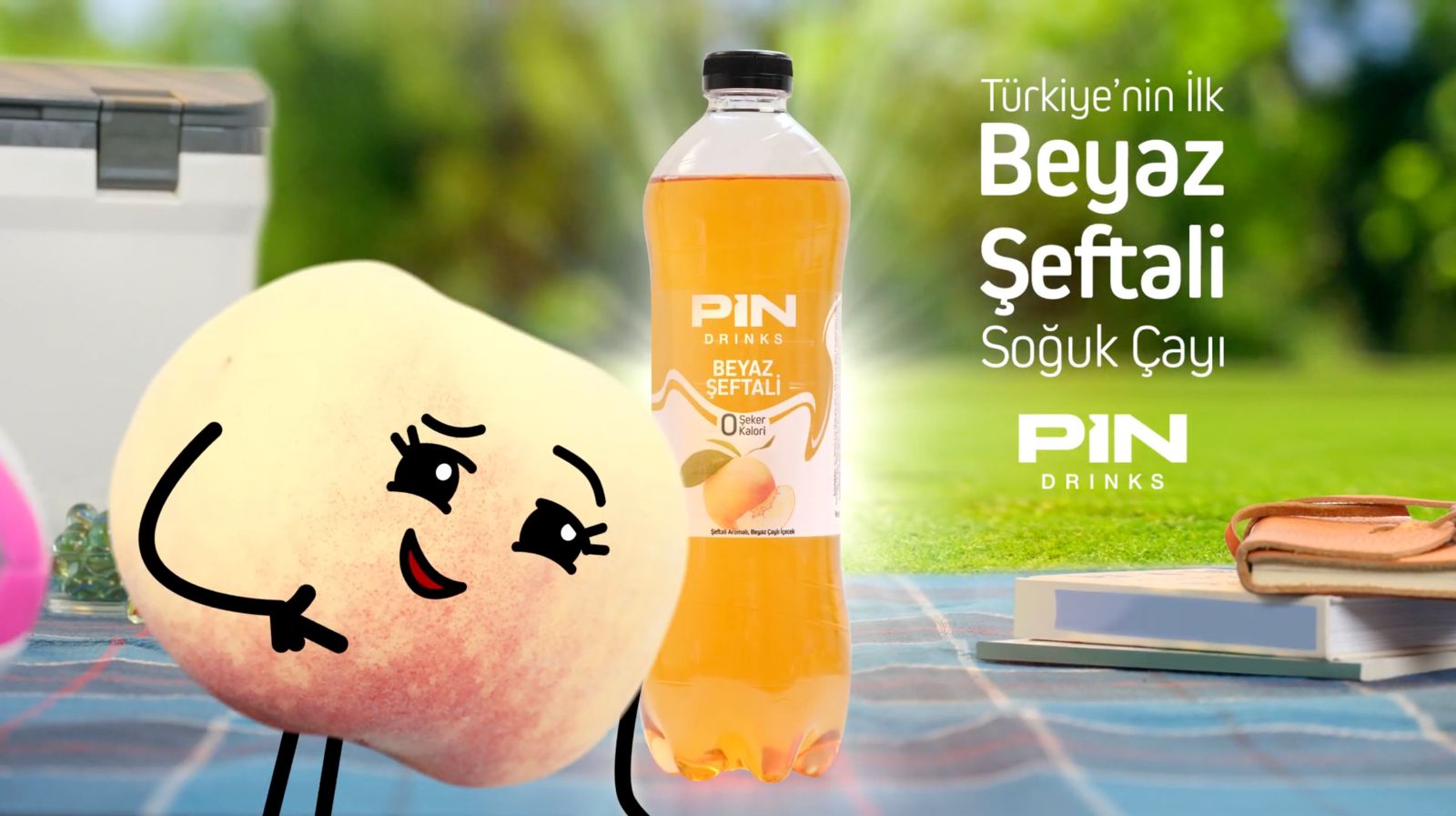 Pinlenen Günler